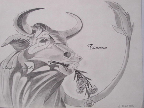 Taureau.jpg