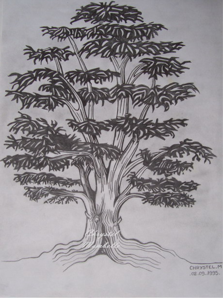 arbre.jpg