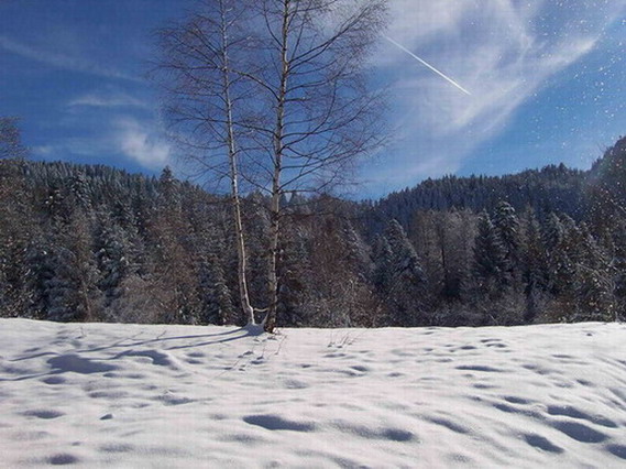 hiver1.jpg