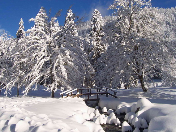 hiver10.jpg