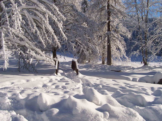 hiver11.jpg