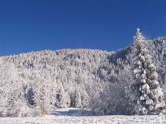 hiver2.jpg