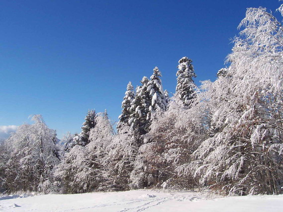 hiver3.jpg