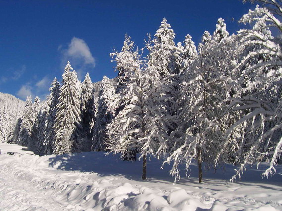 hiver4.jpg