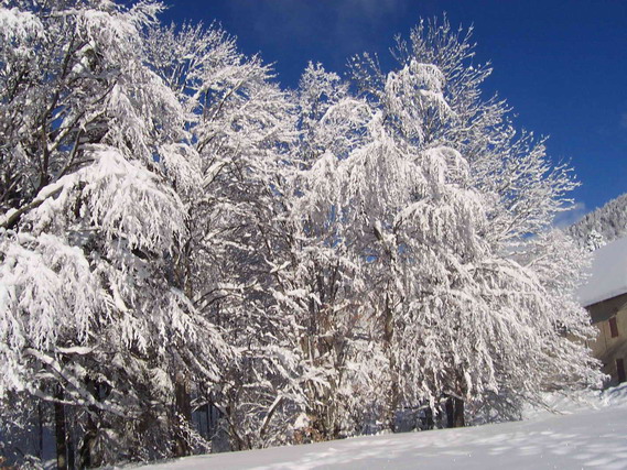 hiver5.jpg