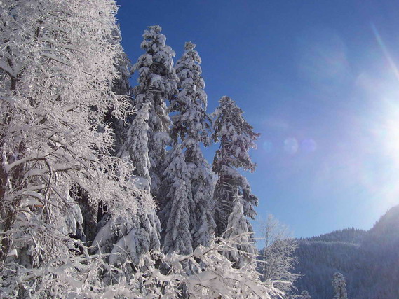 hiver6.jpg
