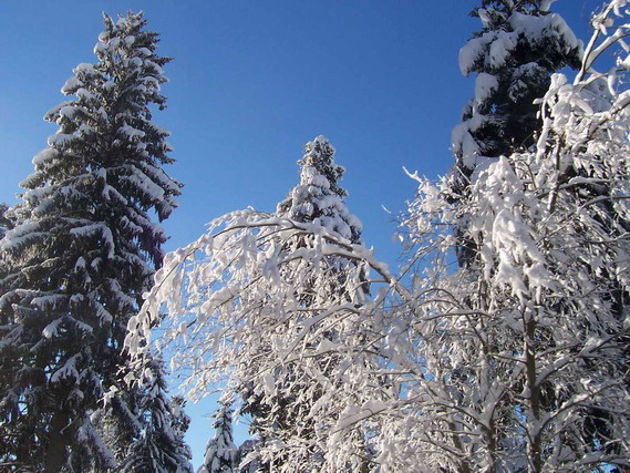 hiver7.jpg