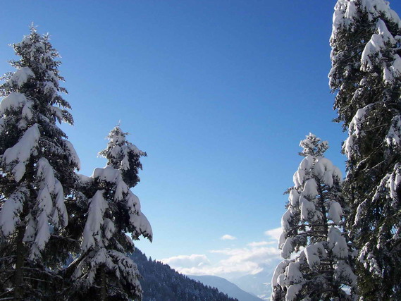 hiver9.jpg