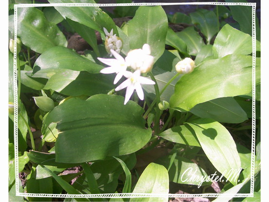 p028.jpg