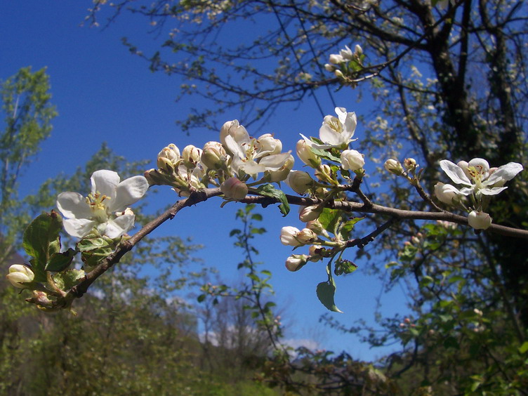 P035.jpg