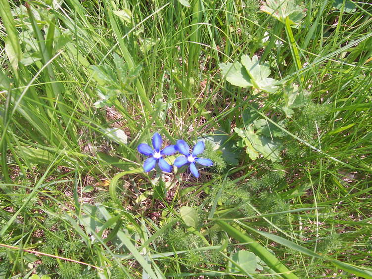 P041.jpg