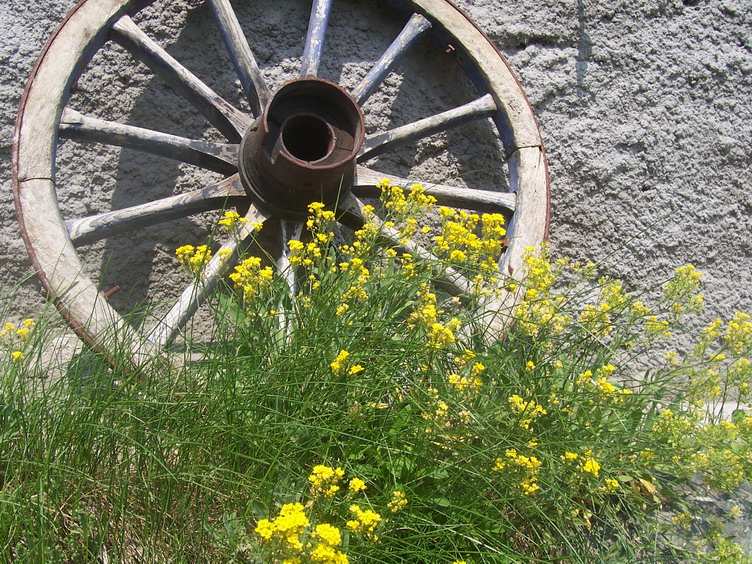 P043.jpg