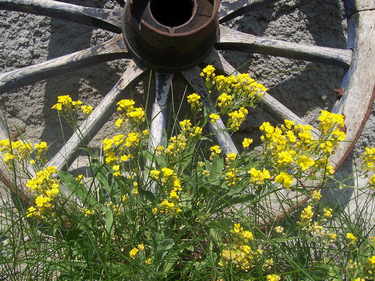 P044.jpg