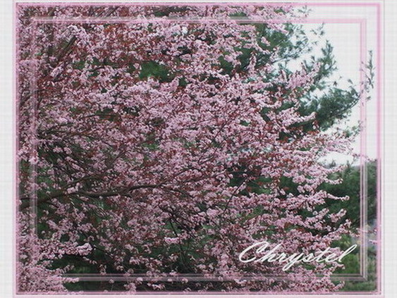 p001.jpg